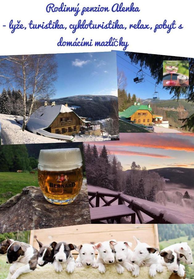 Penzion Alenka Špindlerŭv Mlýn Екстериор снимка