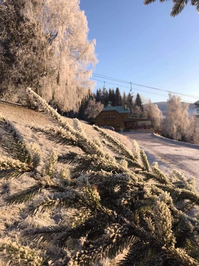 Penzion Alenka Špindlerŭv Mlýn Екстериор снимка